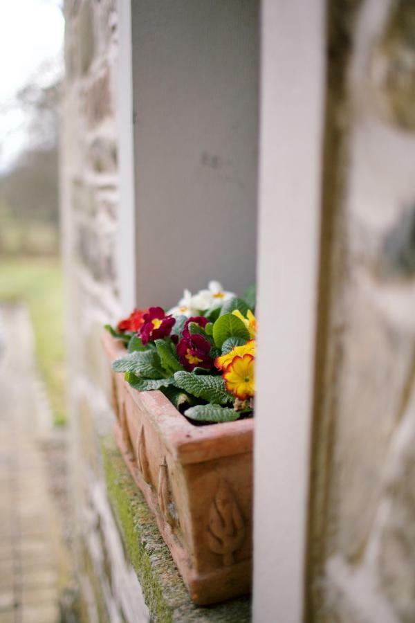 Scion Hill Gate Lodge Hillsborough Extérieur photo